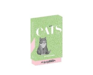 Cats: 50 Postcards