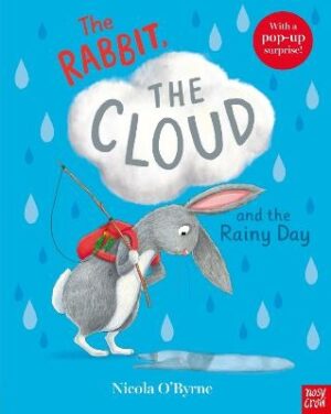 Rabbit, the Cloud and the Rainy Day