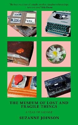 Museum of Lost and Fragile Things: A Year of Salvage