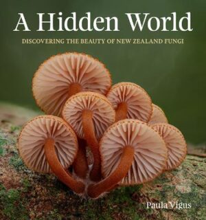 Hidden World: Discovering the beauty of New Zealand fungi