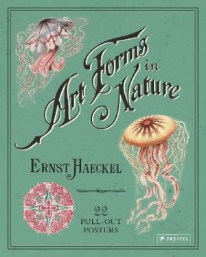 Ernst Haeckel: Art Forms in Nature - 22 Pull-Out Posters