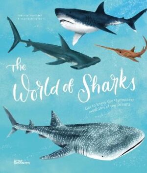 World of Sharks: Get to Know the Fascinating Creatures of the Oceans